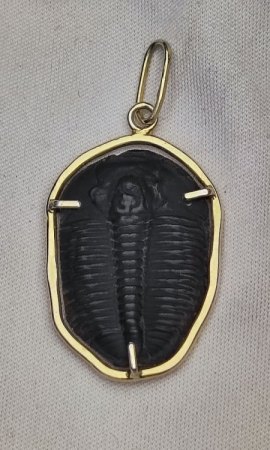 Anhänger Trilobit,