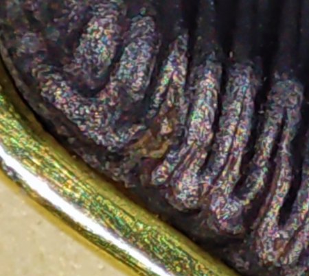 Anhänger Trilobit,