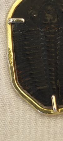 Anhänger Trilobit,