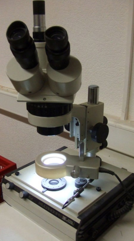 Mikroskop.jpg