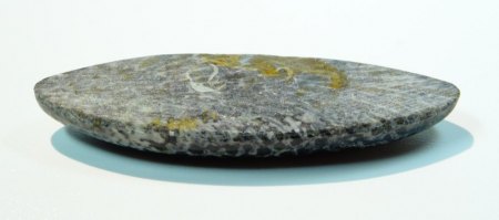 FOSSILE KORALLE - NAVETTE (schwarz/weiß) aus Goldschmiede zu verkaufen