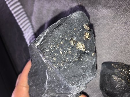 Was ist das in dem Stein ?
